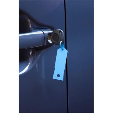Petoskey Petoskey Fb-P9933-98 Blue Key Tag - 1000 Package FB-P9933-98